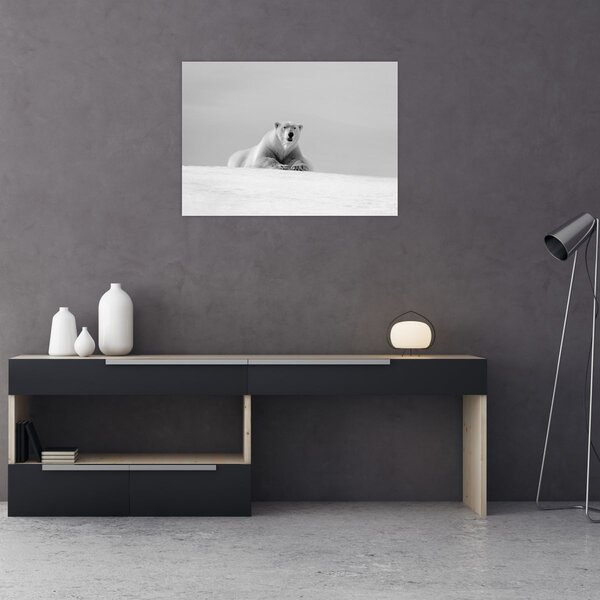 Tablou - Ursul polar (70x50 cm)
