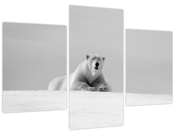 Tablou - Ursul polar (90x60 cm)