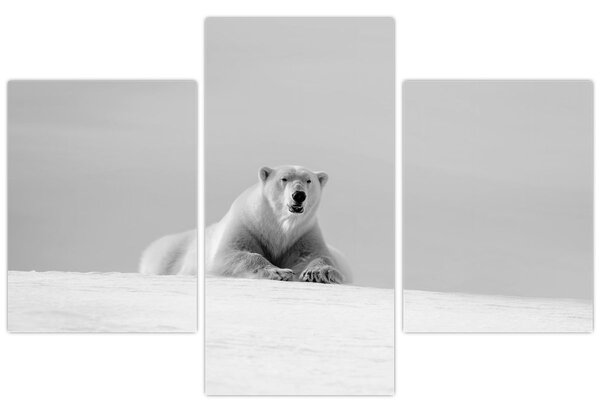 Tablou - Ursul polar (90x60 cm)