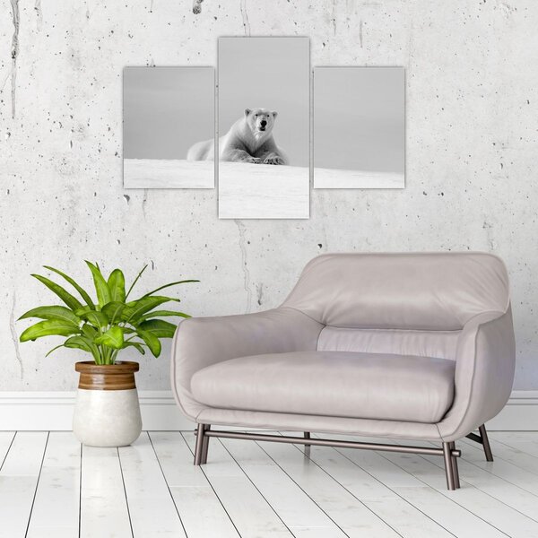 Tablou - Ursul polar (90x60 cm)