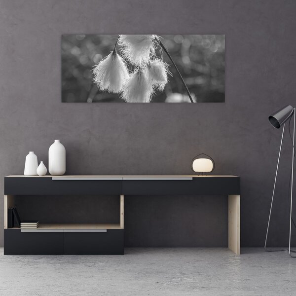 Tablou - Iarba de bumbac (120x50 cm)