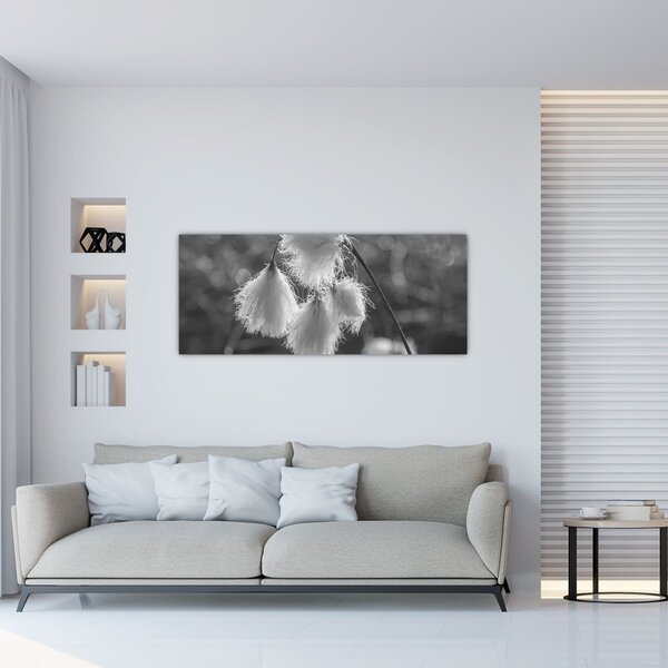 Tablou - Iarba de bumbac (120x50 cm)
