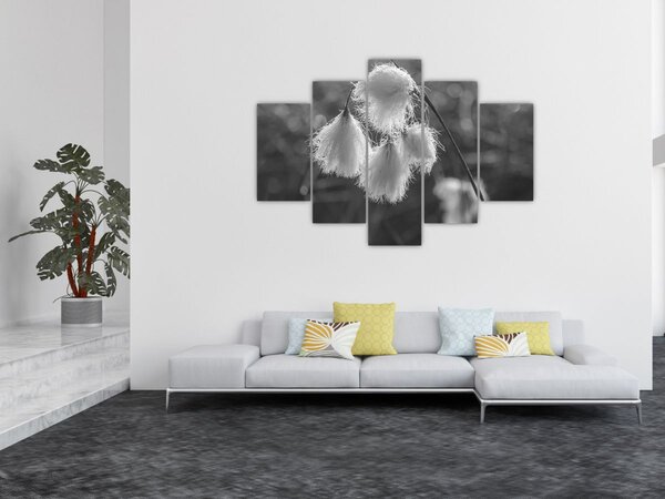 Tablou - Iarba de bumbac (150x105 cm)