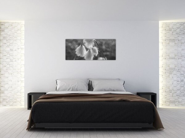 Tablou - Iarba de bumbac (120x50 cm)