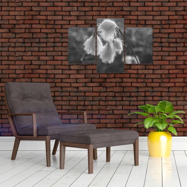 Tablou - Iarba de bumbac (90x60 cm)