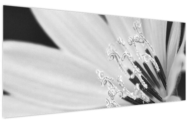 Tablou - Floare albă și neagră (120x50 cm)