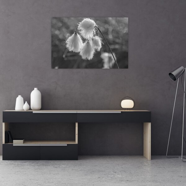 Tablou - Iarba de bumbac (90x60 cm)