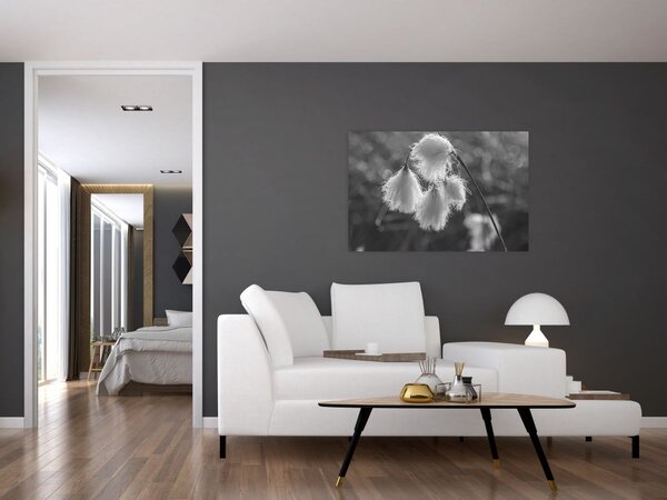 Tablou - Iarba de bumbac (90x60 cm)