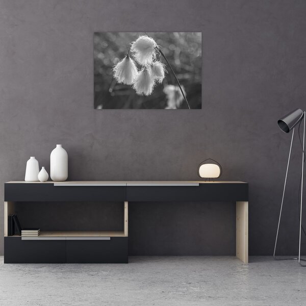 Tablou - Iarba de bumbac (70x50 cm)