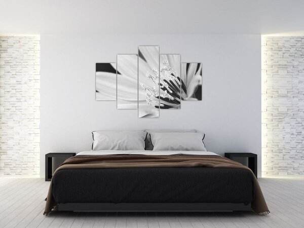 Tablou - Floare albă și neagră (150x105 cm)