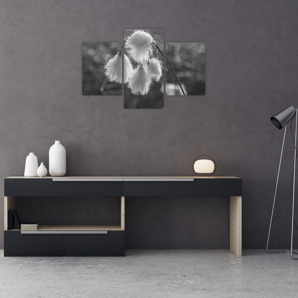 Tablou - Iarba de bumbac (90x60 cm)
