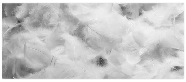 Tablou - Nori de pene (120x50 cm)