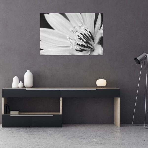 Tablou - Floare albă și neagră (90x60 cm)