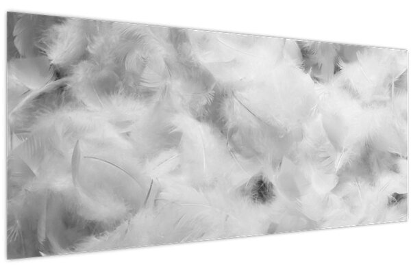 Tablou - Nori de pene (120x50 cm)