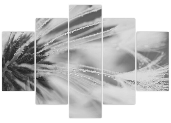 Tablou - Păpădie (150x105 cm)