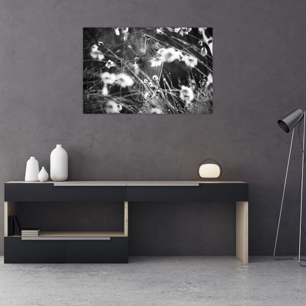 Tablou - Pânza de păianjen în pajiște (90x60 cm)