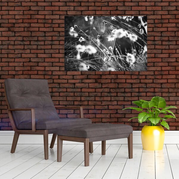 Tablou - Pânza de păianjen în pajiște (90x60 cm)