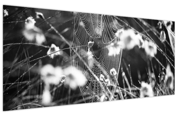 Tablou - Pânza de păianjen în pajiște (120x50 cm)