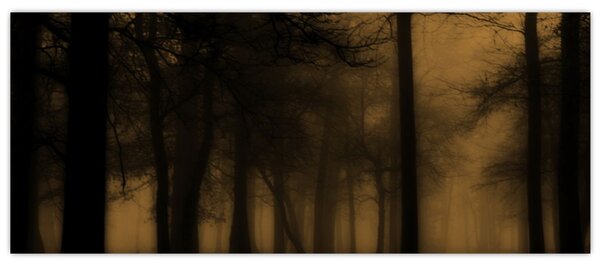 Tablou - Pădurea întunecată (120x50 cm)
