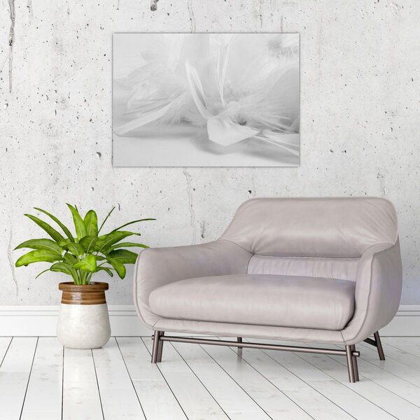 Tablou - Pene (70x50 cm)