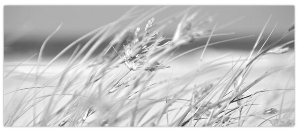 Tablou - Iarbă de plajă (120x50 cm)