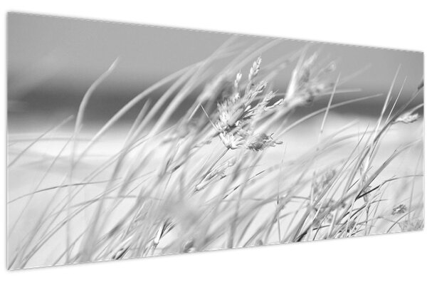 Tablou - Iarbă de plajă (120x50 cm)