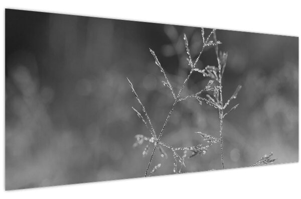 Tablou - Pajiște de țară (120x50 cm)