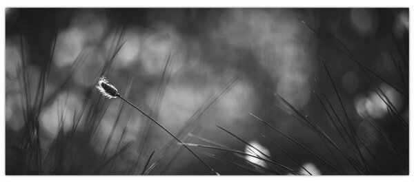 Tablou - Iarbă de pajiște (120x50 cm)