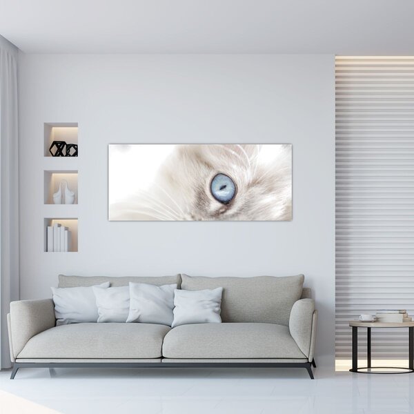 Tablou - Pisica cu ochi albaștri (120x50 cm)