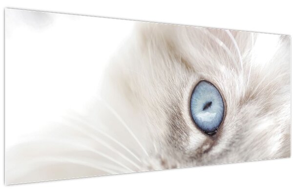Tablou - Pisica cu ochi albaștri (120x50 cm)