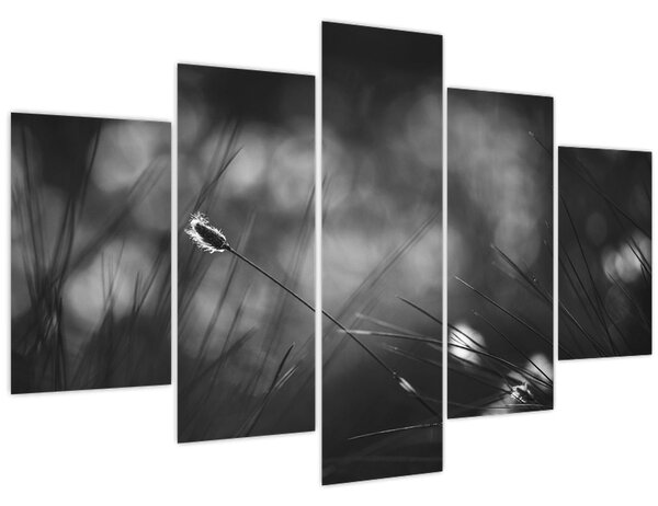 Tablou - Iarbă de pajiște (150x105 cm)