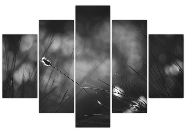 Tablou - Iarbă de pajiște (150x105 cm)