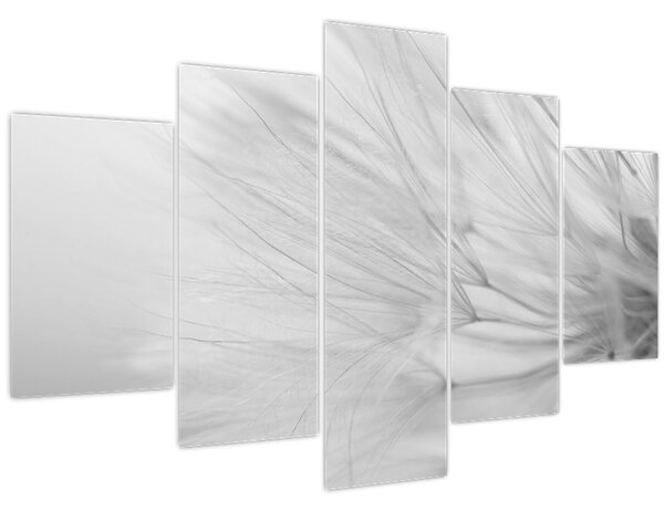 Tablou - Dandelion (150x105 cm)
