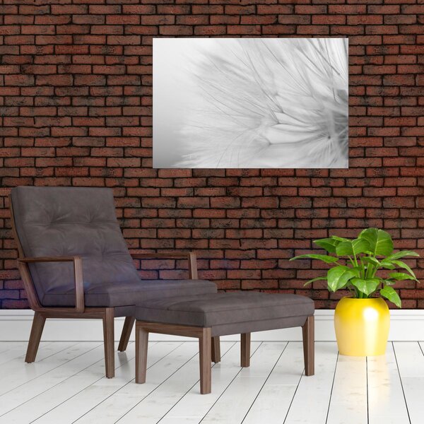 Tablou - Dandelion (90x60 cm)