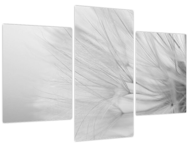 Tablou - Dandelion (90x60 cm)