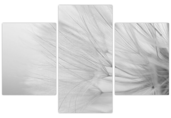 Tablou - Dandelion (90x60 cm)