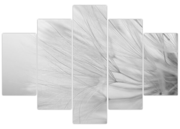 Tablou - Dandelion (150x105 cm)
