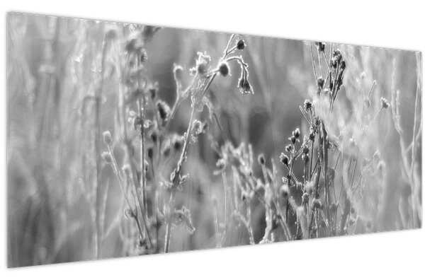 Tablou - Pajiște sălbatică (120x50 cm)
