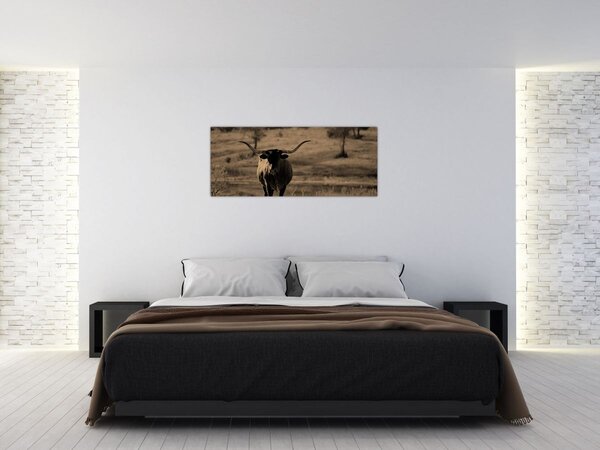 Tablou - Vacă din Texas (120x50 cm)