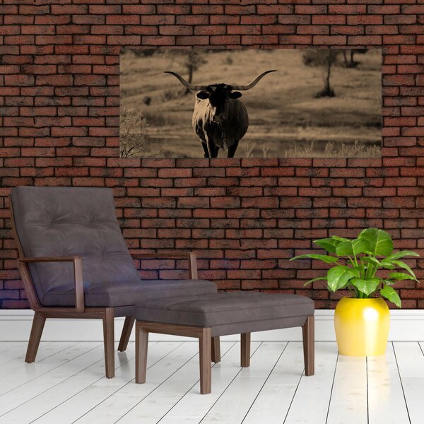 Tablou - Vacă din Texas (120x50 cm)