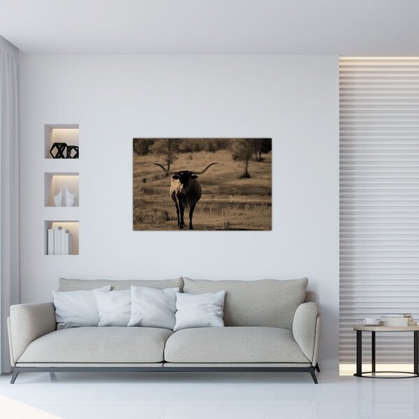 Tablou - Vacă din Texas (90x60 cm)
