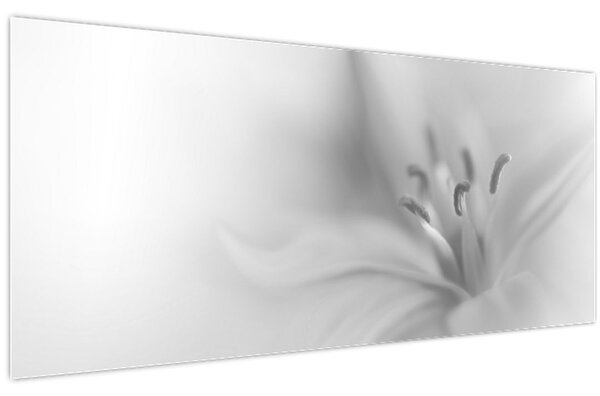 Tablou - Crin delicat (120x50 cm)