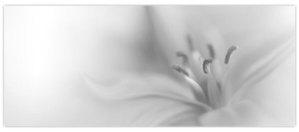 Tablou - Crin delicat (120x50 cm)