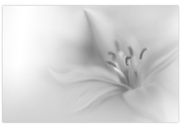 Tablou - Crin delicat (90x60 cm)