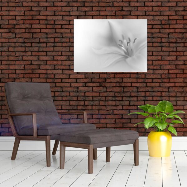 Tablou - Crin delicat (70x50 cm)