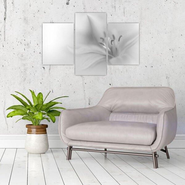 Tablou - Crin delicat (90x60 cm)