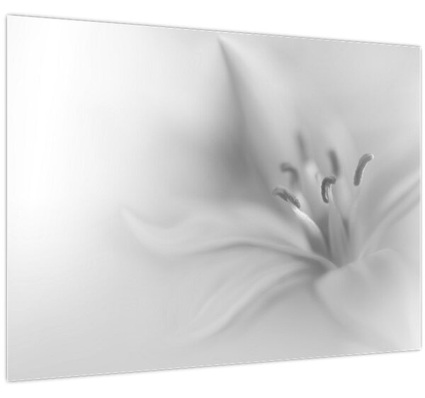 Tablou - Crin delicat (70x50 cm)