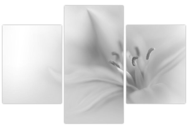 Tablou - Crin delicat (90x60 cm)