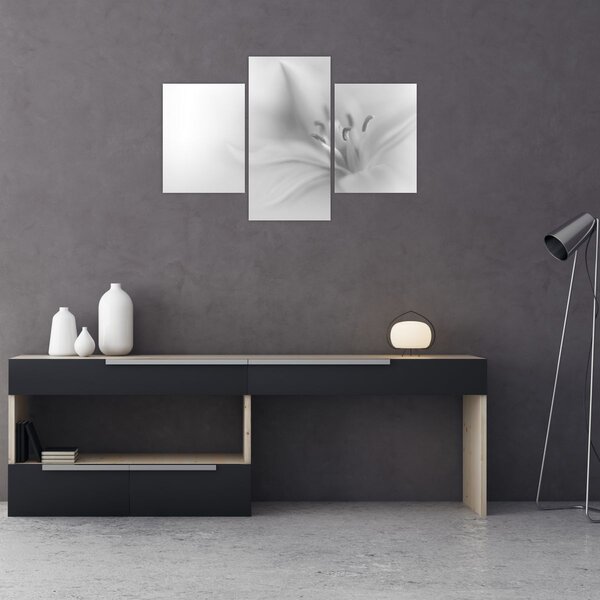 Tablou - Crin delicat (90x60 cm)