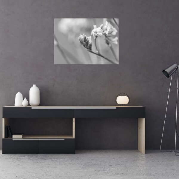 Tablou - Floare înflorită (70x50 cm)